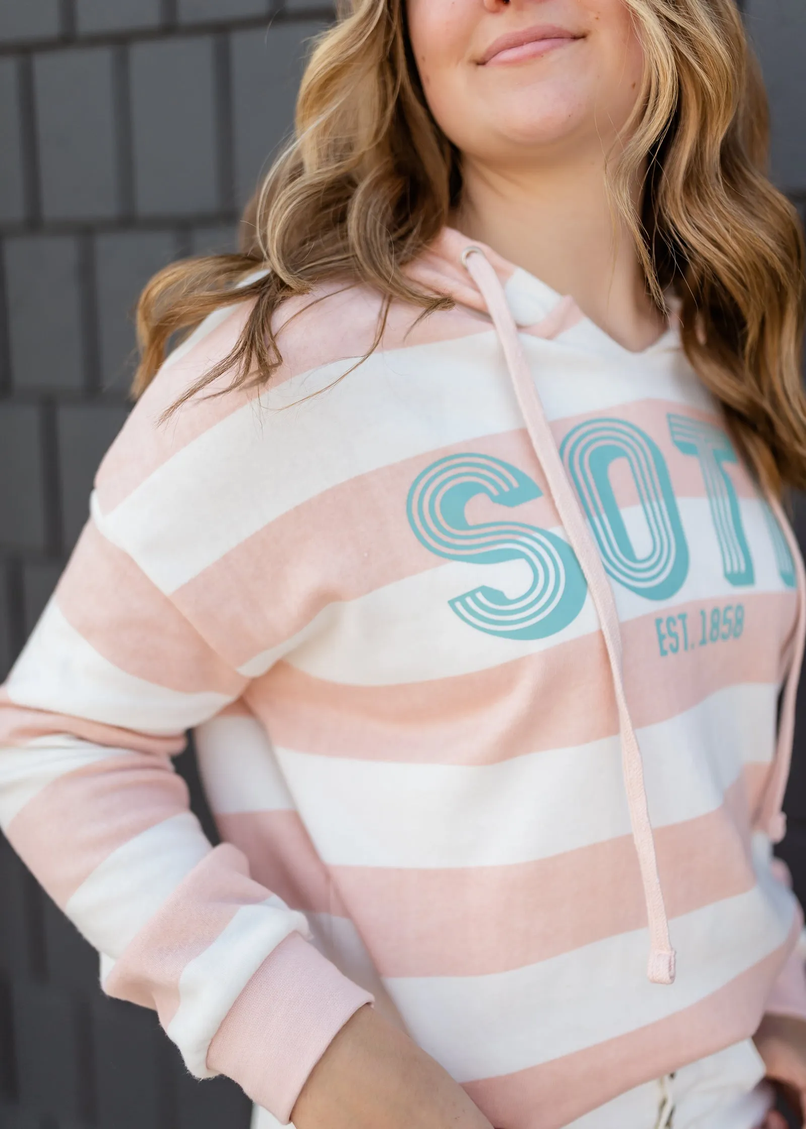 Blush Striped Sota Pullover Sweatshirt - FINAL SALE