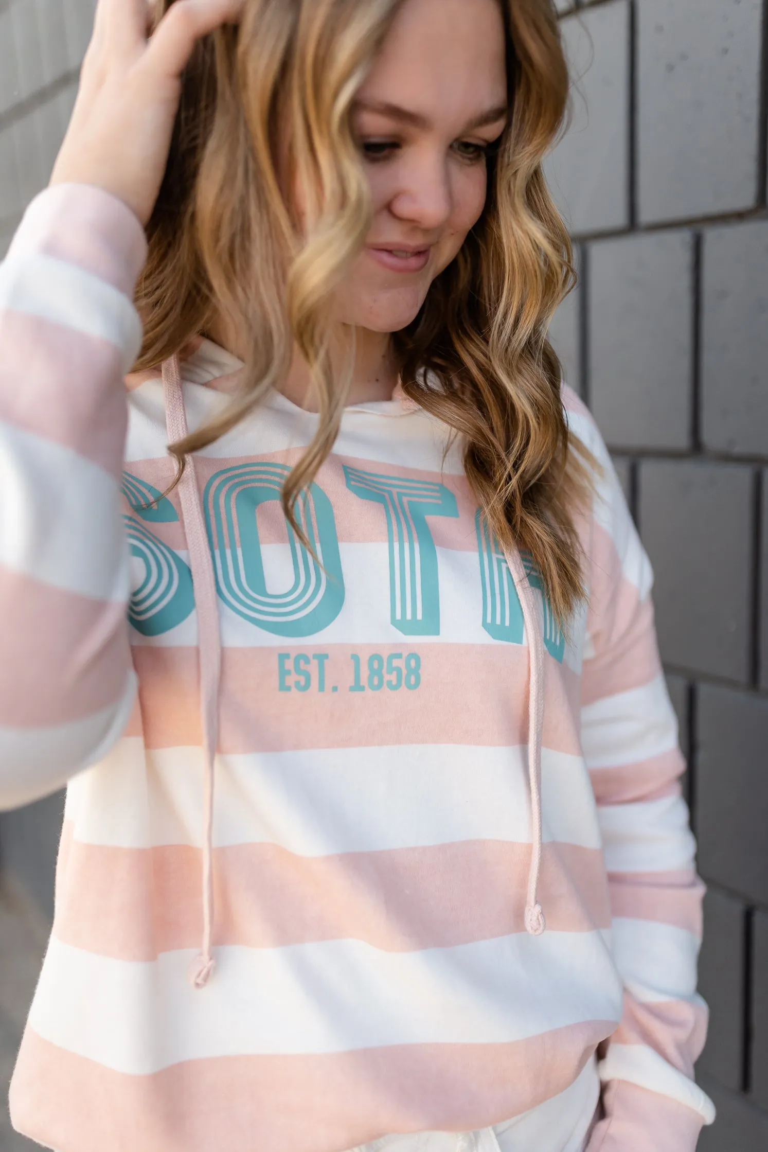 Blush Striped Sota Pullover Sweatshirt - FINAL SALE