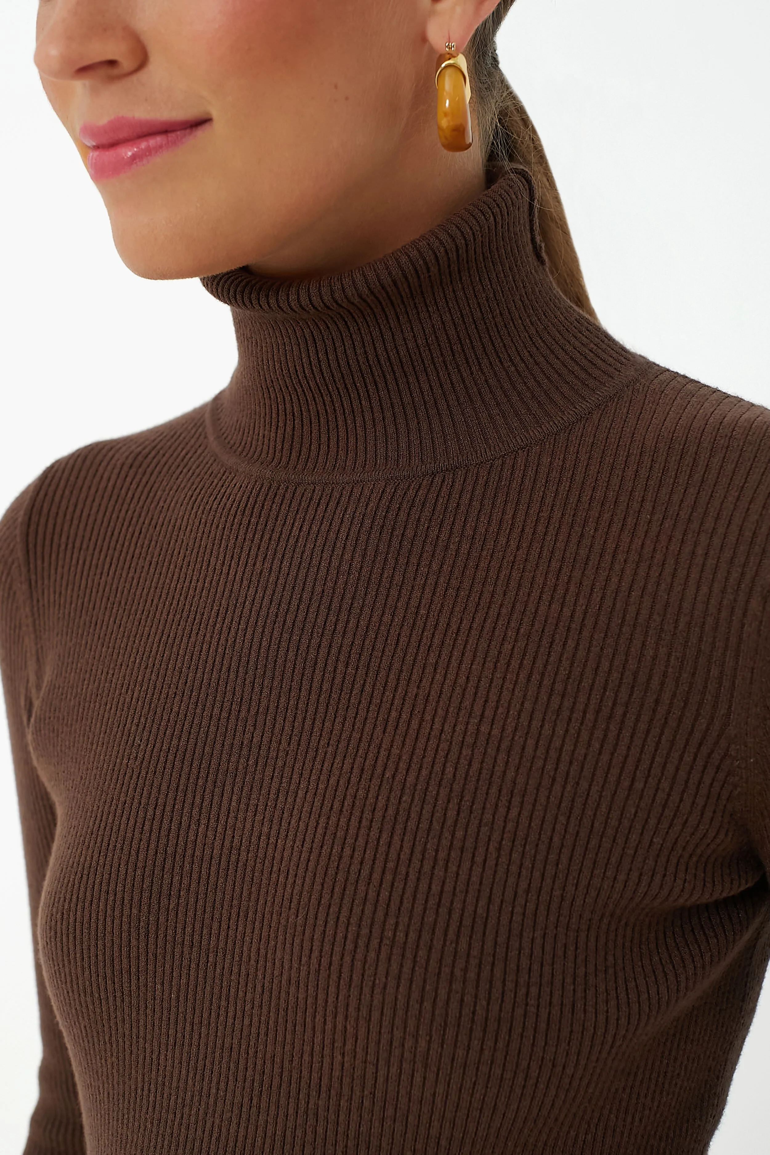 Brown Arlo Ribbed Turtleneck